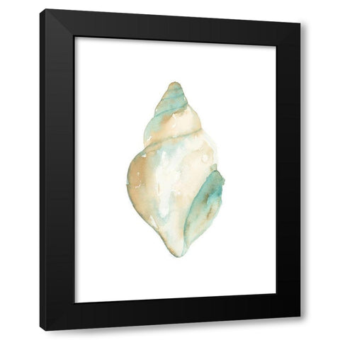 Priceless Shells I Black Modern Wood Framed Art Print with Double Matting by Price, Lucille