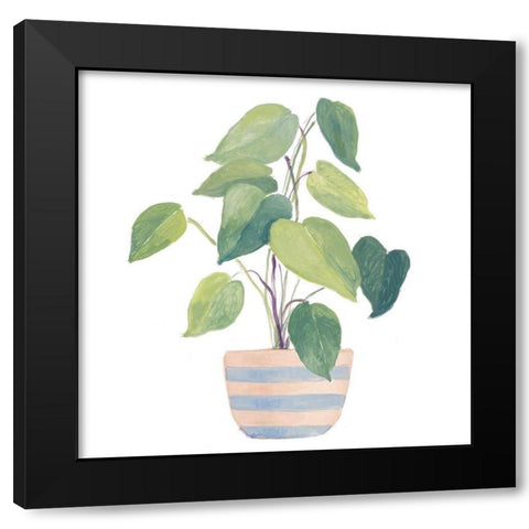 Mother-In-Law Plant In Striped Pot Black Modern Wood Framed Art Print with Double Matting by Loreth, Lanie