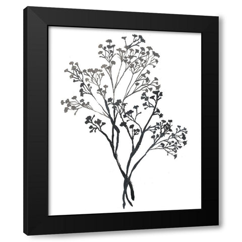 Babys Breath Black Modern Wood Framed Art Print by Medley, Elizabeth