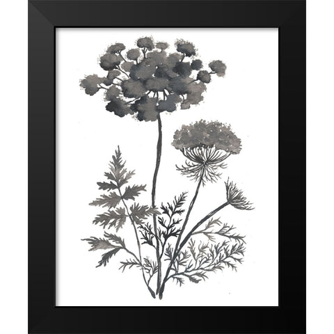 Queen Anne Black Modern Wood Framed Art Print by Medley, Elizabeth