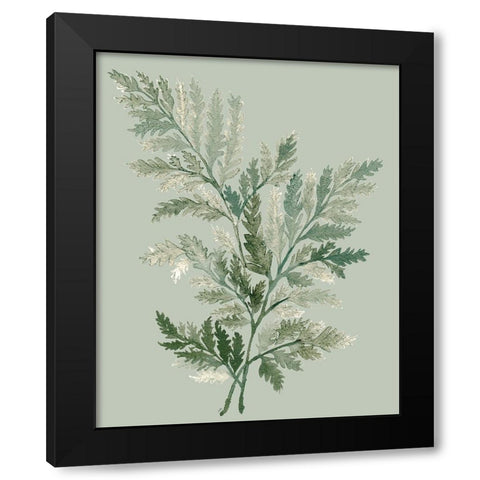 Tonal Green Ferns I Black Modern Wood Framed Art Print with Double Matting by Medley, Elizabeth