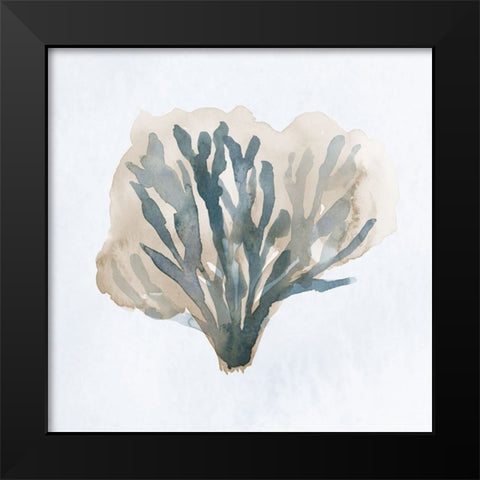 Atlantic Coral I Black Modern Wood Framed Art Print by Price, Lucille