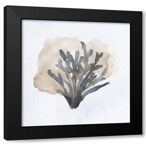 Atlantic Coral II Black Modern Wood Framed Art Print with Double Matting by Price, Lucille