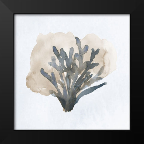 Atlantic Coral II Black Modern Wood Framed Art Print by Price, Lucille