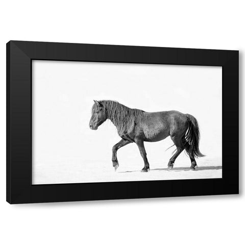 Black Horse Black Modern Wood Framed Art Print by Walters, Jan
