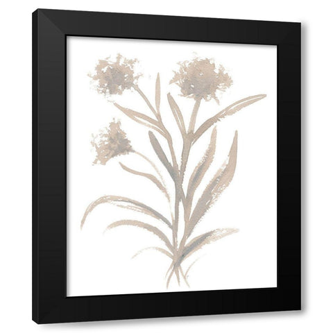 Beige Herb II Black Modern Wood Framed Art Print with Double Matting by Medley, Elizabeth