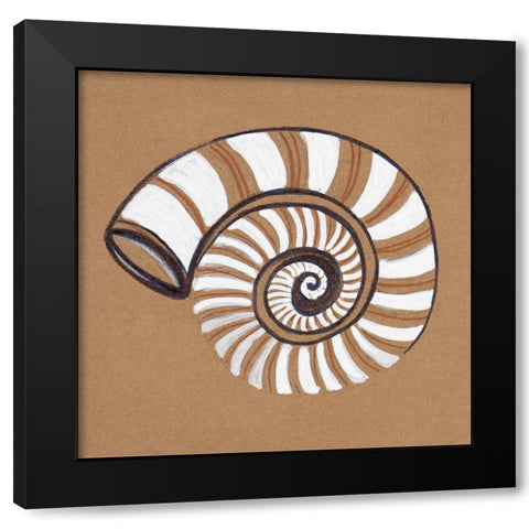 Ocean World Shell Black Modern Wood Framed Art Print with Double Matting by Pinto, Patricia