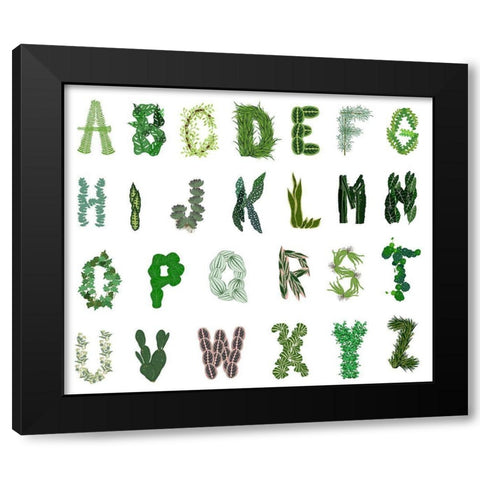 Plant Alphabet Black Modern Wood Framed Art Print by Bucheli, Jen