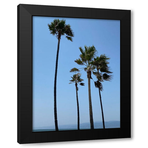 Tall Palms Black Modern Wood Framed Art Print by Myers, Amelia