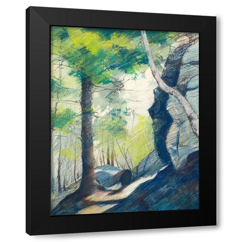 Sunrise In The Woods Black Modern Wood Framed Art Print by Nawrocke, Bruce
