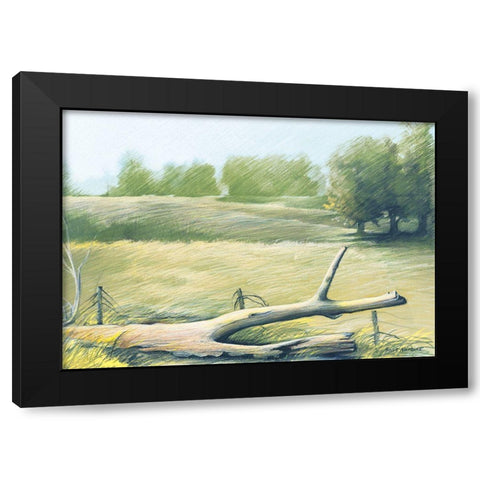 Sunrise In The Field Black Modern Wood Framed Art Print with Double Matting by Nawrocke, Bruce