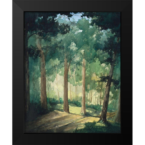 Hike In The Dark Green Woods Black Modern Wood Framed Art Print by Nawrocke, Bruce