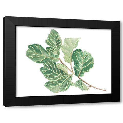 Fiddle Fig Leaf II Black Modern Wood Framed Art Print by Pinto, Patricia