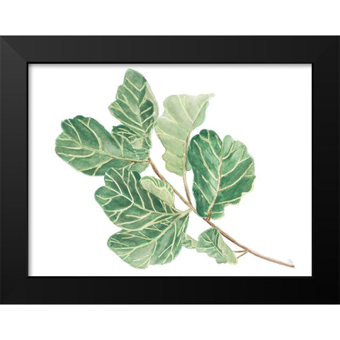 Fiddle Fig Leaf II Black Modern Wood Framed Art Print by Pinto, Patricia