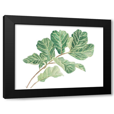 Fiddle Fig Leaf I Black Modern Wood Framed Art Print with Double Matting by Pinto, Patricia