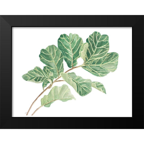 Fiddle Fig Leaf I Black Modern Wood Framed Art Print by Pinto, Patricia