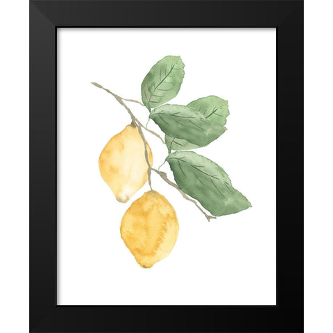 Stem Of Lemons Black Modern Wood Framed Art Print by Price, Lucille