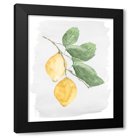 Fresh Lemons Black Modern Wood Framed Art Print by Price, Lucille