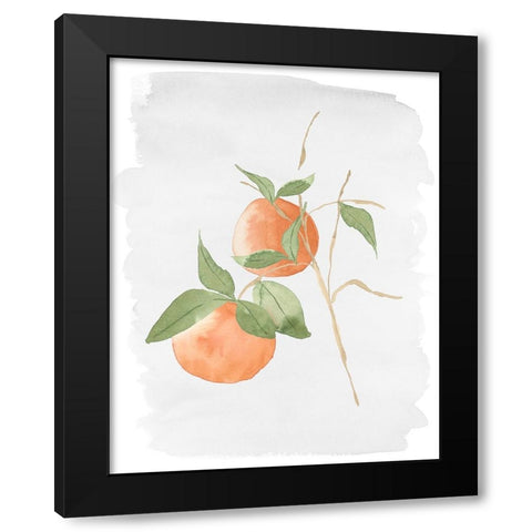 Fresh Oranges Black Modern Wood Framed Art Print with Double Matting by Price, Lucille