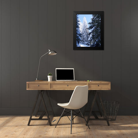 Frosted Tree Black Modern Wood Framed Art Print by Hyler, JB