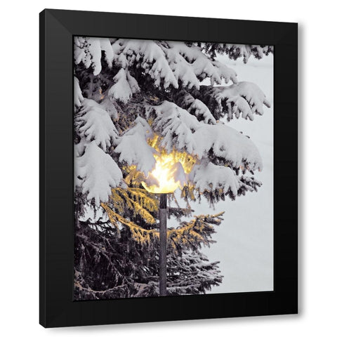 Snowy Lampost Black Modern Wood Framed Art Print with Double Matting by Hyler, JB