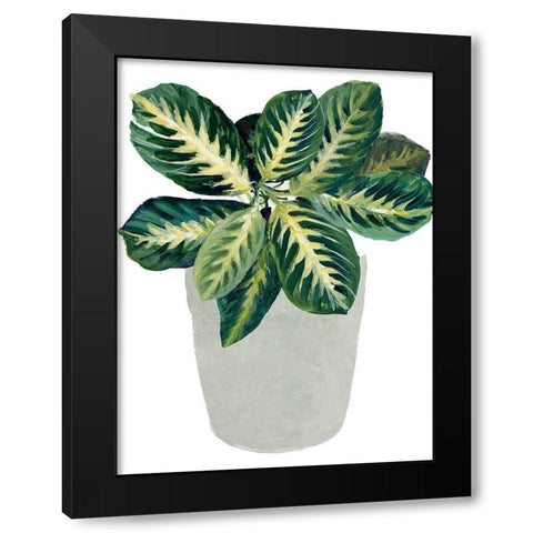 Prayer Plant II Black Modern Wood Framed Art Print with Double Matting by Loreth, Lanie