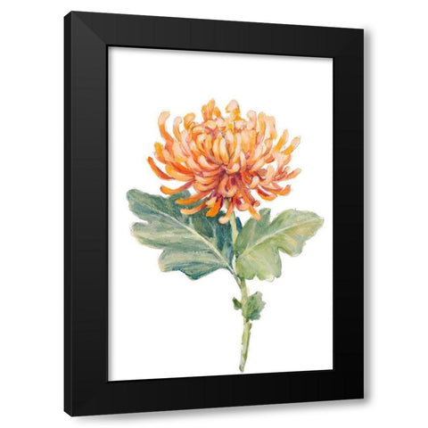 Orange Spider Mum Black Modern Wood Framed Art Print by Loreth, Lanie