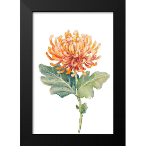Orange Spider Mum Black Modern Wood Framed Art Print by Loreth, Lanie