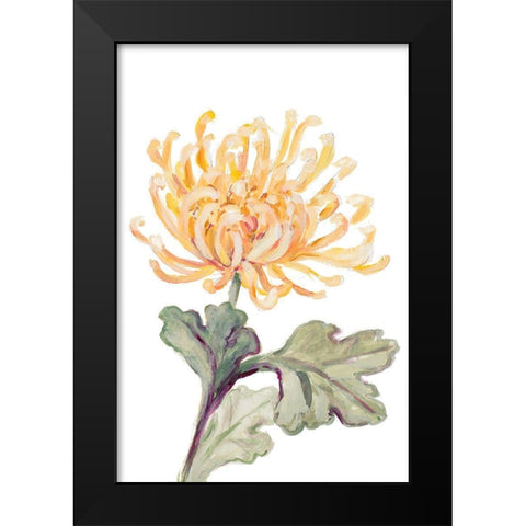 Yellow Spider Mum Black Modern Wood Framed Art Print by Loreth, Lanie