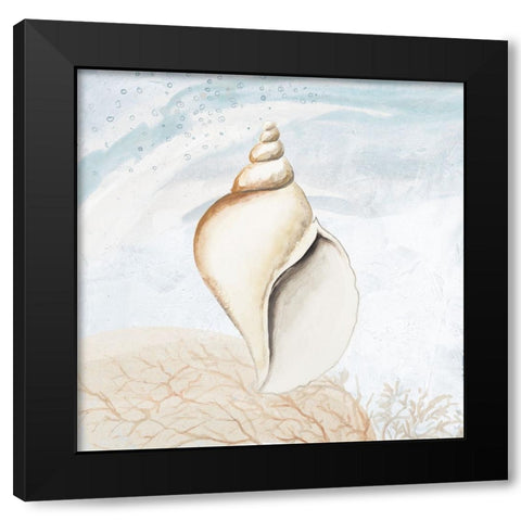 Ocean Oasis Tropical Seashell I Black Modern Wood Framed Art Print with Double Matting by Pinto, Patricia