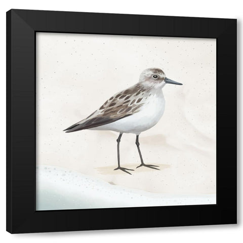 Sandpiper on the Beach I Black Modern Wood Framed Art Print with Double Matting by Sheppard, Lucca
