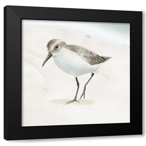 Sandpiper on the Beach II Black Modern Wood Framed Art Print by Sheppard, Lucca