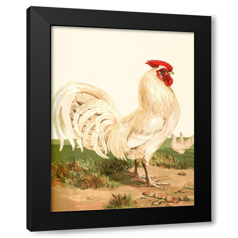 Hen Black Modern Wood Framed Art Print with Double Matting by Piddix