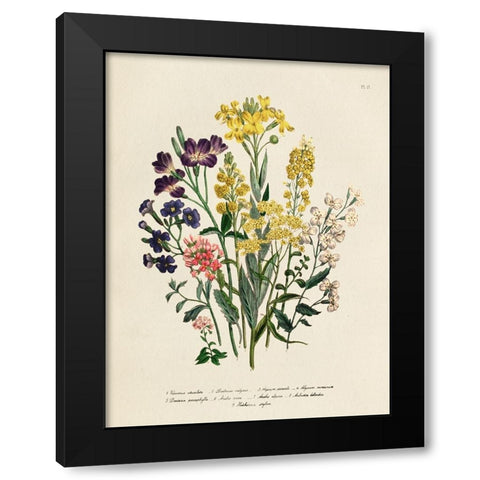 Vintage Flowers I Black Modern Wood Framed Art Print with Double Matting by Piddix