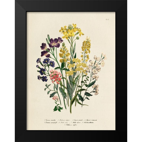 Vintage Flowers I Black Modern Wood Framed Art Print by Piddix