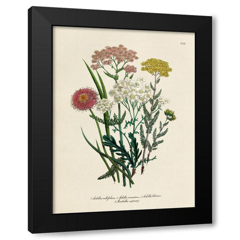 Vintage Flowers II Black Modern Wood Framed Art Print by Piddix