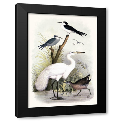 Little Egret and Friends Black Modern Wood Framed Art Print by Piddix