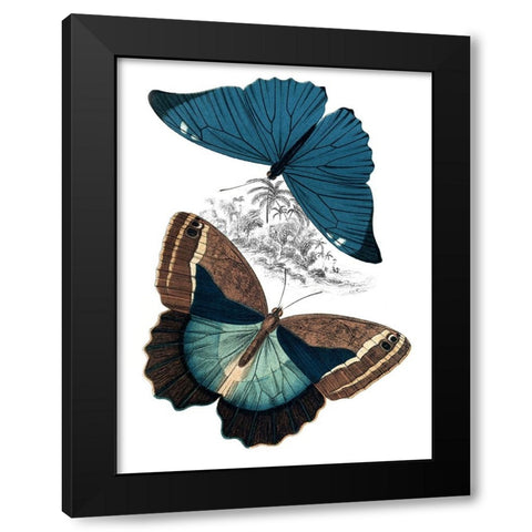 Butterfly Study II Black Modern Wood Framed Art Print by Piddix