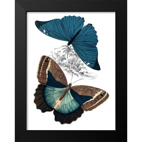 Butterfly Study II Black Modern Wood Framed Art Print by Piddix