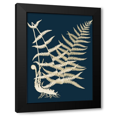 Ferns II Black Modern Wood Framed Art Print by Piddix