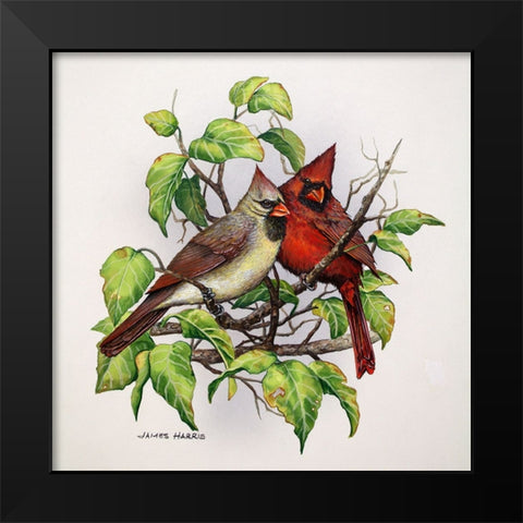 Cardinals Black Modern Wood Framed Art Print by Harris, James