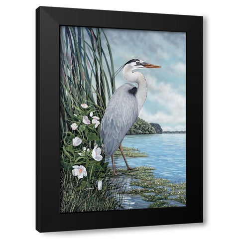 Great Blue Heron Black Modern Wood Framed Art Print by Harris, James