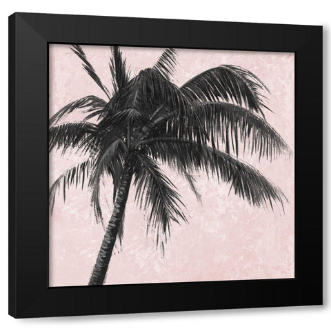 Gray Palm on Pink I Black Modern Wood Framed Art Print with Double Matting by Pinto, Patricia