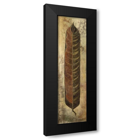 La Pluma I Black Modern Wood Framed Art Print with Double Matting by Pinto, Patricia