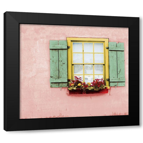Pink St. Augustine Black Modern Wood Framed Art Print by Mabat, Ynon