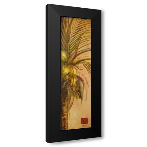 Mis Cocos II Black Modern Wood Framed Art Print with Double Matting by Pinto, Patricia