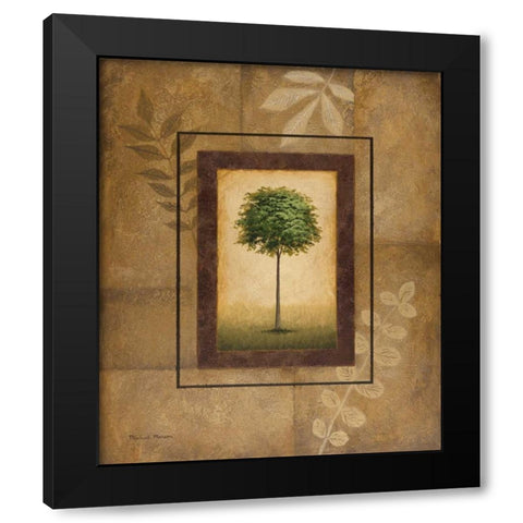Brazil Nut Tree Black Modern Wood Framed Art Print by Marcon, Michael