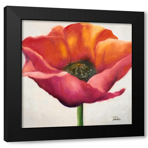 Poppy Flower I Black Modern Wood Framed Art Print by Pinto, Patricia