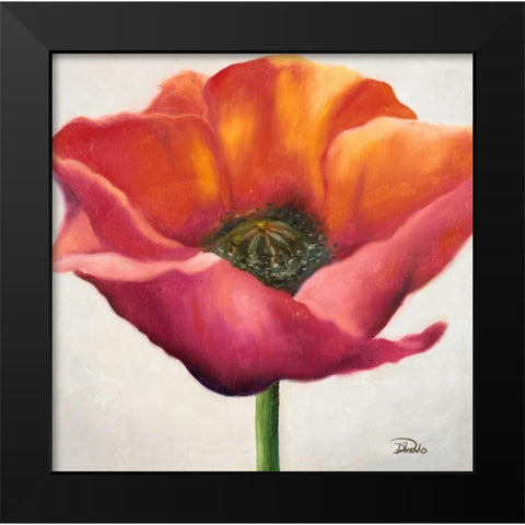 Poppy Flower I Black Modern Wood Framed Art Print by Pinto, Patricia