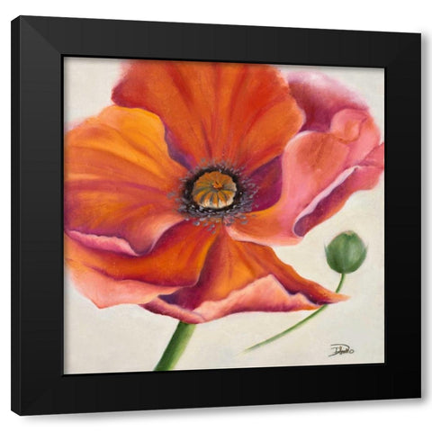 Poppy Flower II Black Modern Wood Framed Art Print with Double Matting by Pinto, Patricia